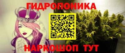 a pvp Моздок