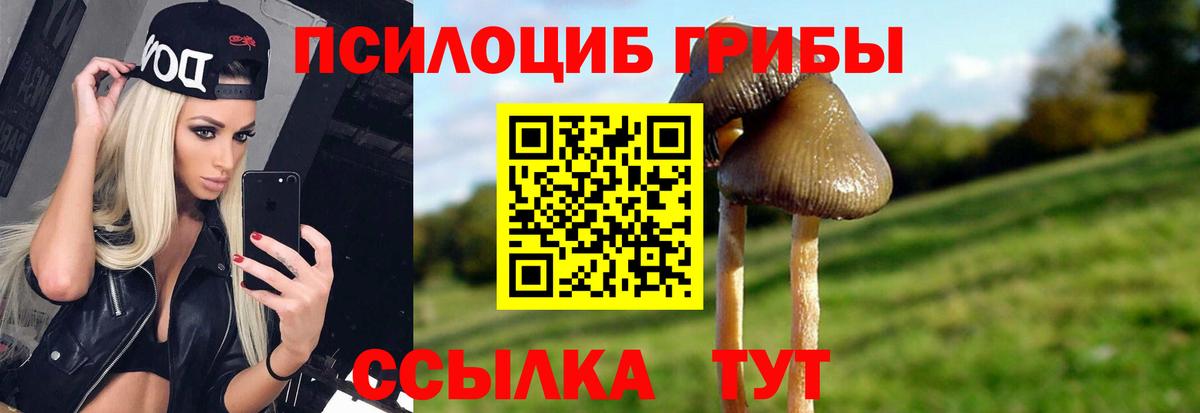Гагарин  Галлюциногенные грибы MAGIC MUSHROOMS  Вход с VPN  купить   Псилоцибиновые грибы MAGIC MUSHROOMS 
